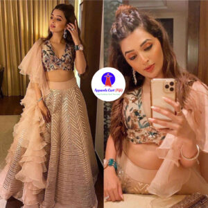 Lehenga 11