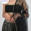 Lehenga 40 - Image 2