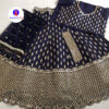 Lehenga 69 - Image 2